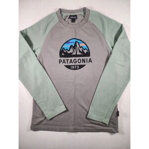 Patagonia Mens Small Lightweight Crew neck Sweatshirt Gray Green Fitz Roy Scope